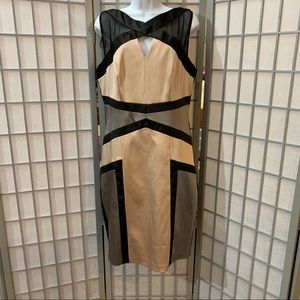 NWT Jax dress